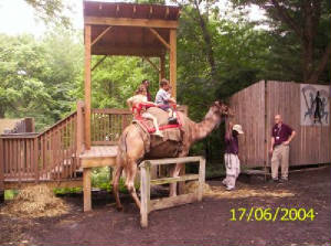 carlyjacobkyleoncamel.jpg