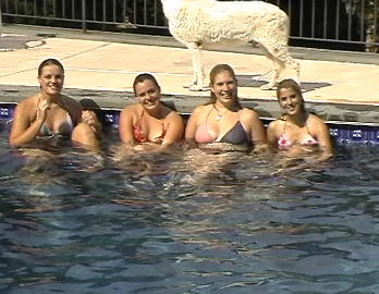 4girls.jpg