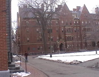 harvard.jpg