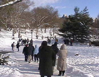 moresnow3.jpg