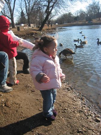 naomifeedingducks.jpg