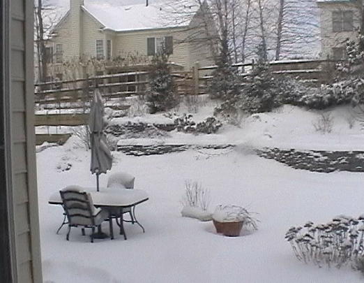 snowbackyard.jpg