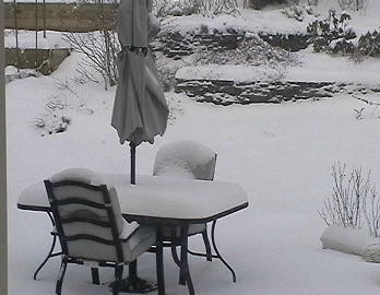 snowbackyard2.jpg