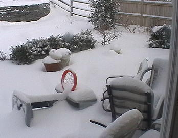 snowbackyard3.jpg