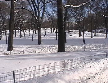 snowcentralpk.jpg