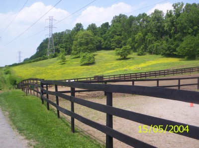 stables1.jpg